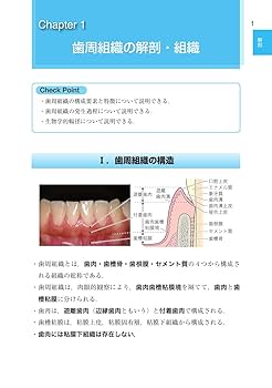 歯科診療 QUESTIONS & ANSWERS 全3巻 歯科診療 QUESTIONS & ANSWERS 全3巻 健康・医学